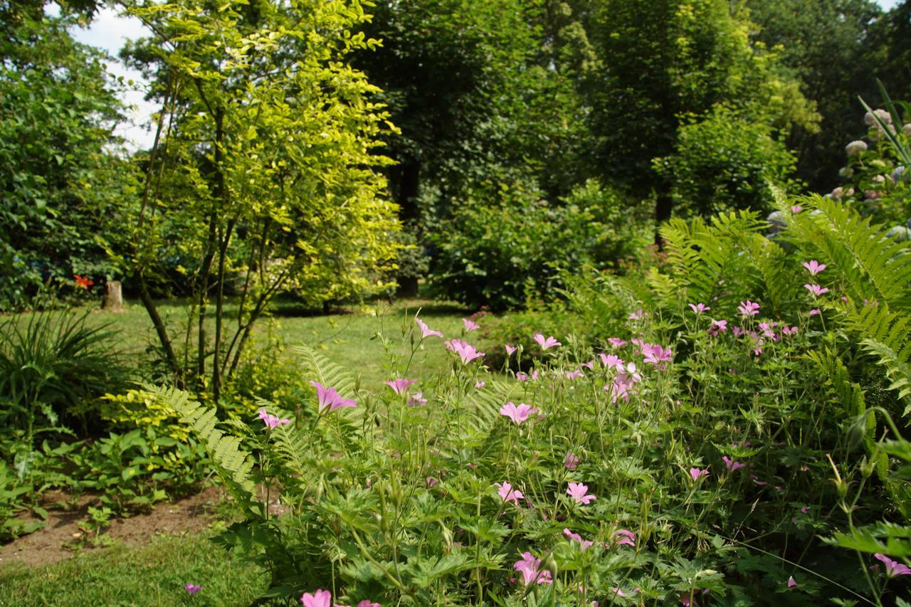 Bed & Breakfast Aan De Beek *