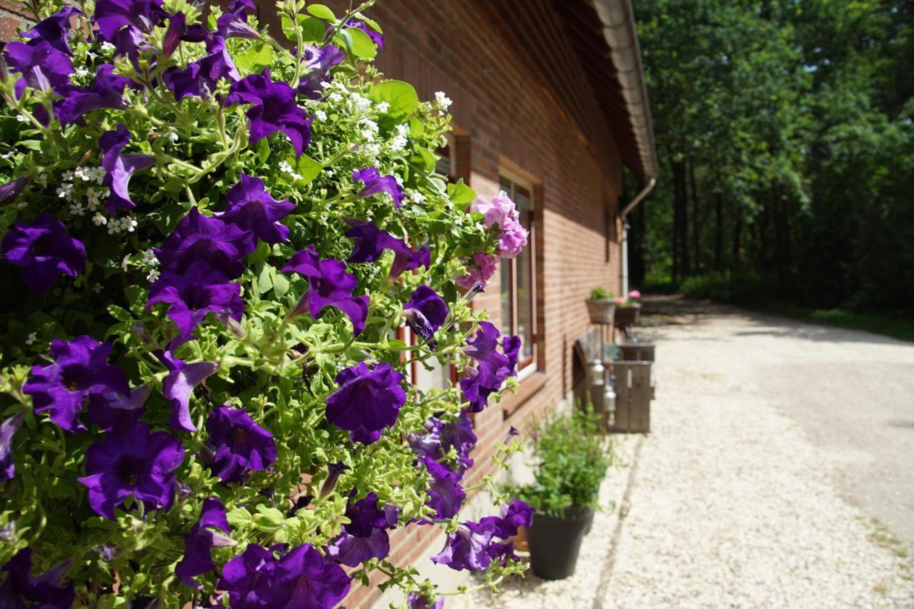 Aan De Beek Bed & Breakfast